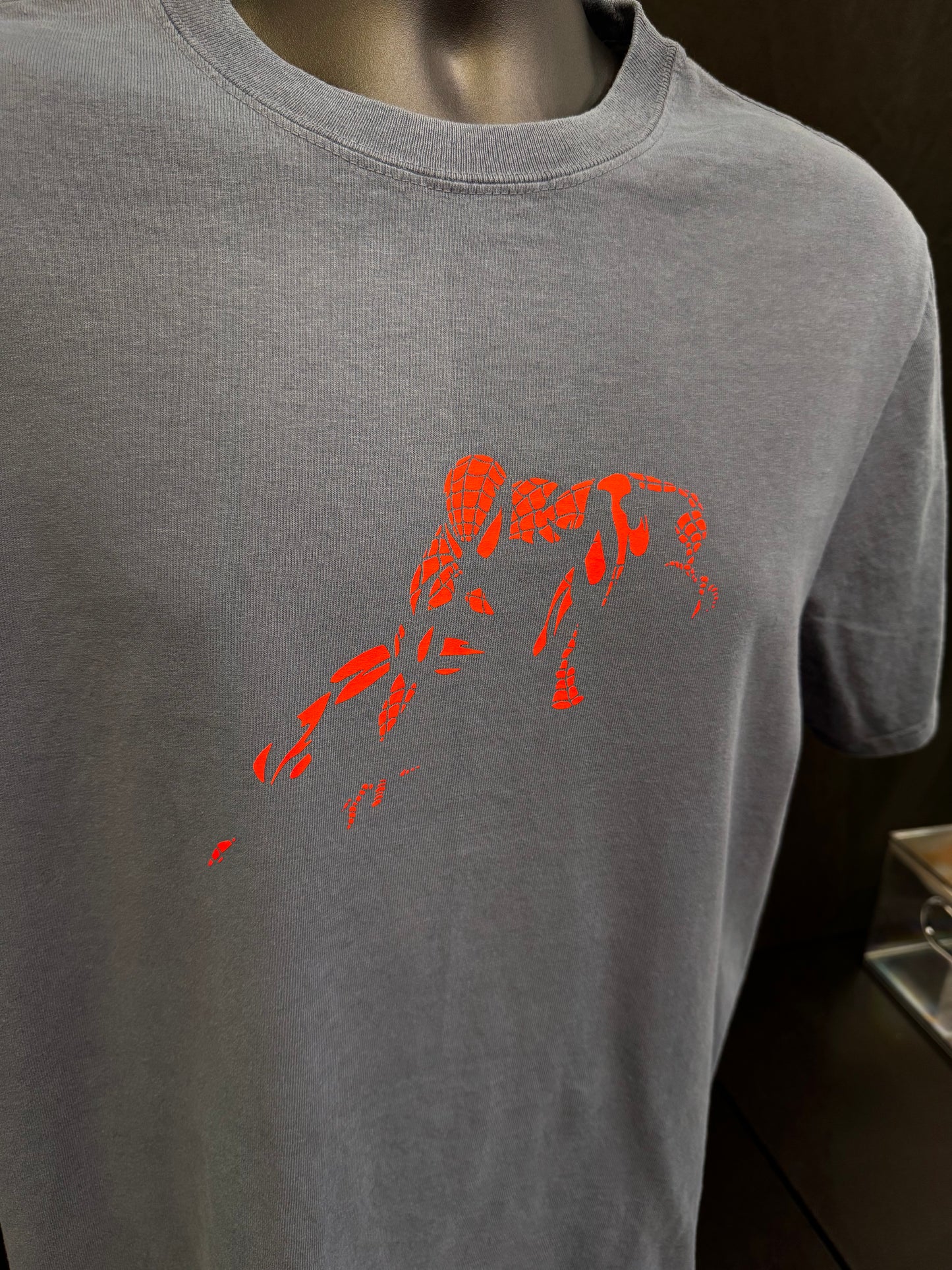 Friendly Neighbor Tee